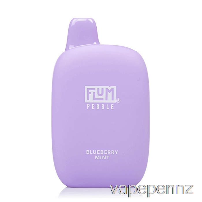 Flum Pebble 6000 Disposable Blueberry Mint VAPE NZ